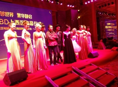 武汉鑫秀礼仪 融合中外艺术，点亮庆典之光